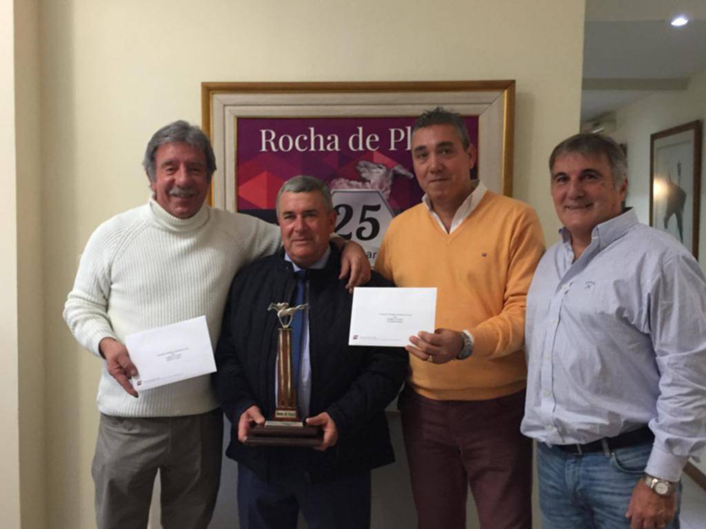 Serie Rocha de Plata