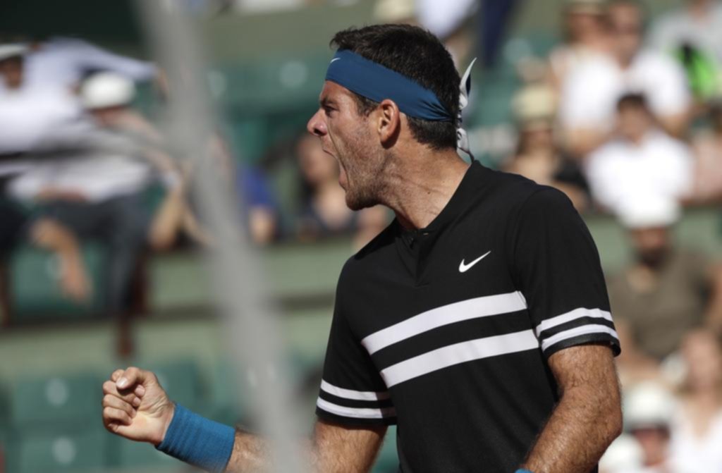 Del Potro y Schwartzman se metieron en octavos en Francia