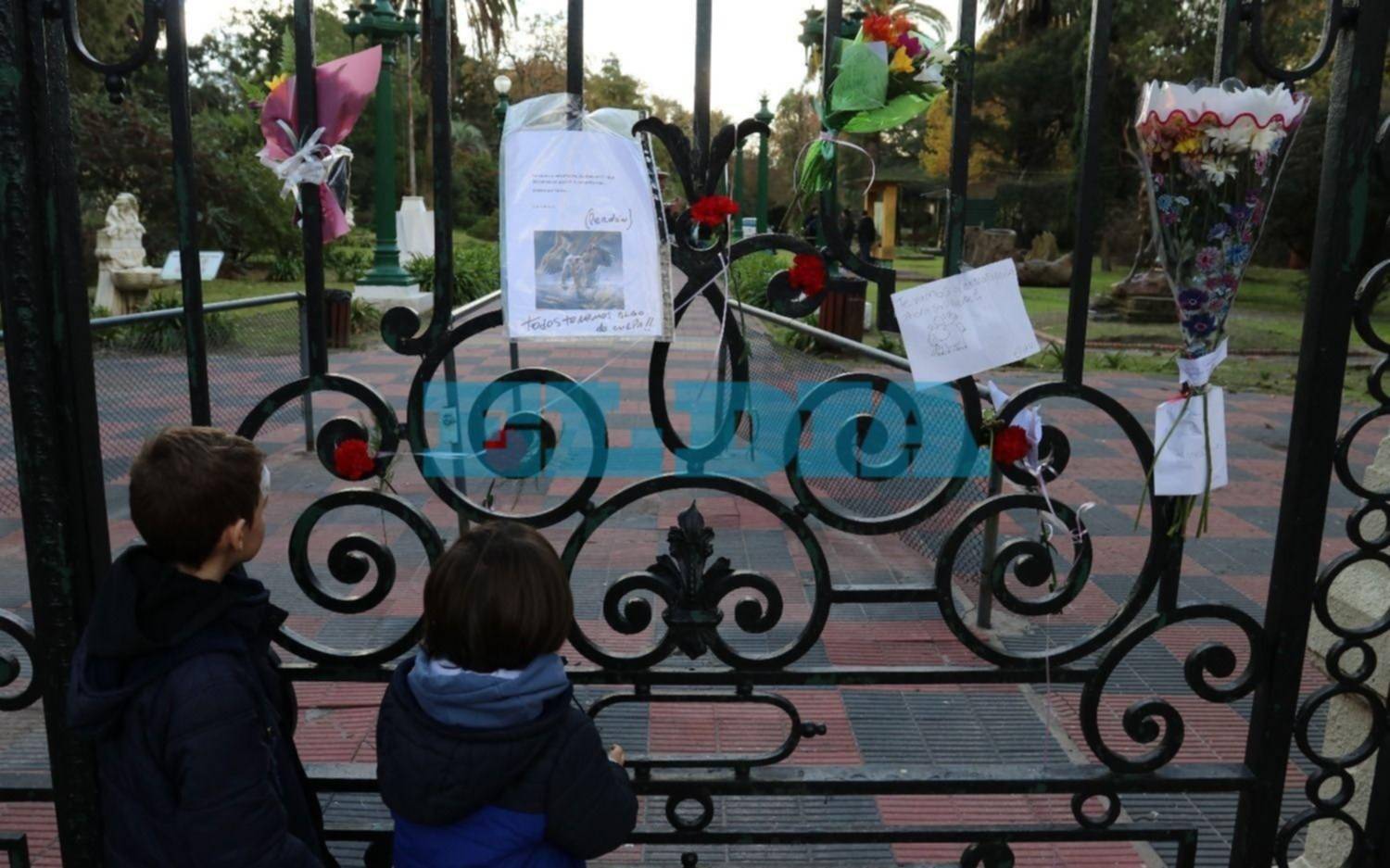 Pelusa sería enterrada en el zoológico y se haría un altar sobre sus restos