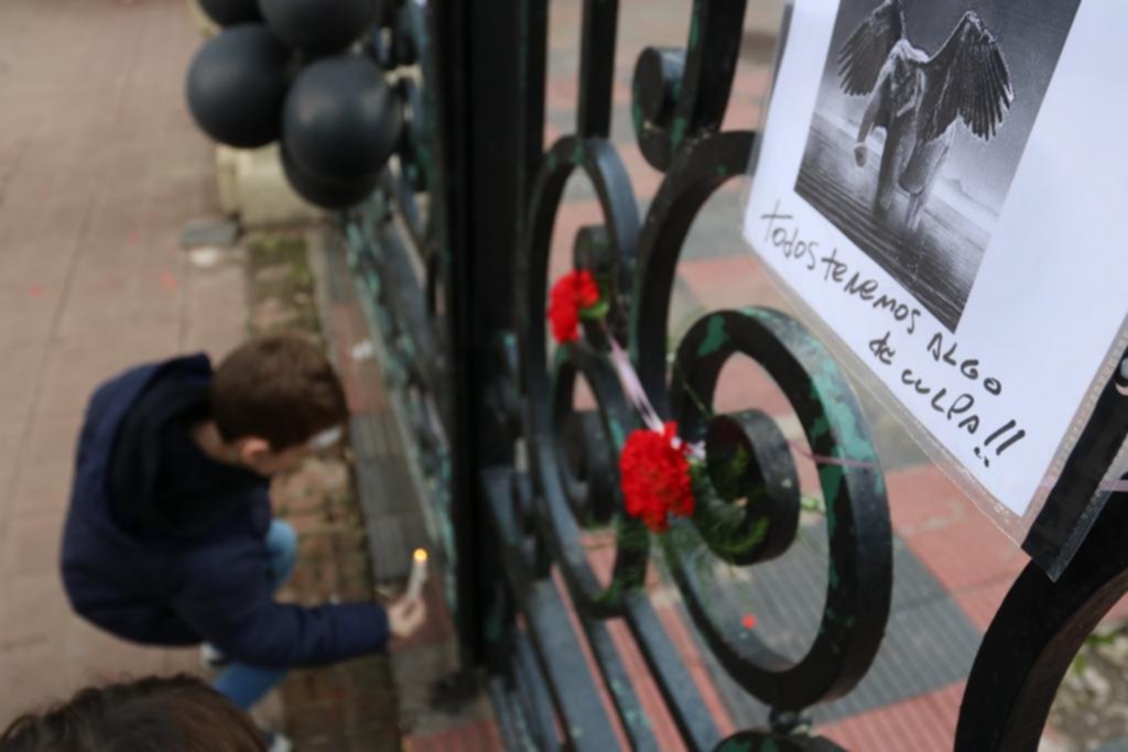 En la Argentina quedan otros 9 elefantes en cautiverio y filman un documental por su liberación