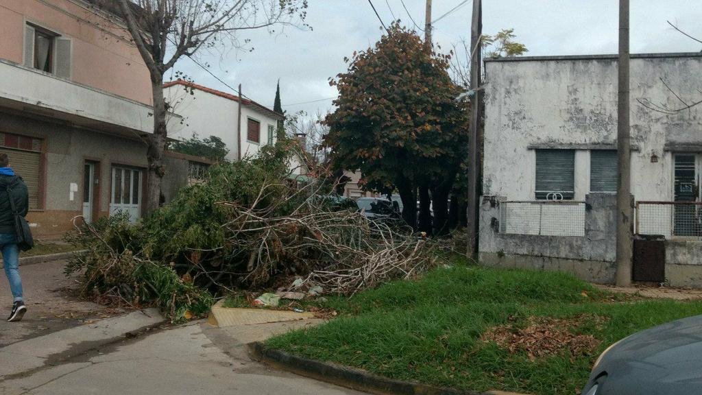 Piden por el retiro de ramas en 122 y 46