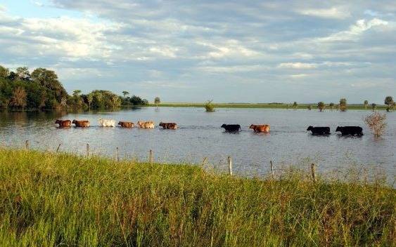 El Gobierno declaró la emergencia agropecuaria para Buenos Aires y La Pampa