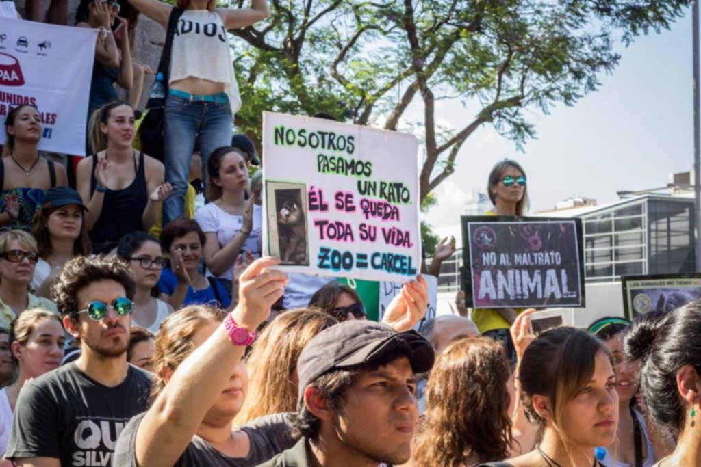 Un hito en el reclamo, la muerte por calor del oso polar