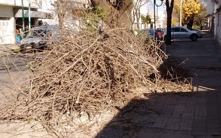 Malestar por la falta de limpieza tras una poda en 69 y 2