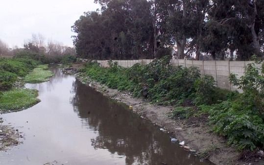 Hallan a un bebe mutilado en arroyo de San Francisco Solano