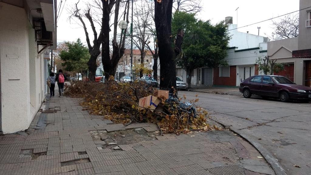 Se complica el paso de peatones por ramas y basura