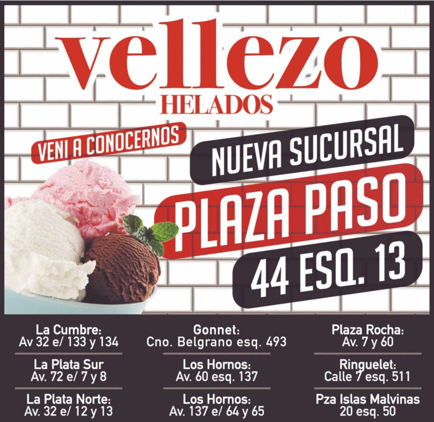Llevá a tu casa todo el sabor del helado de Vellezo