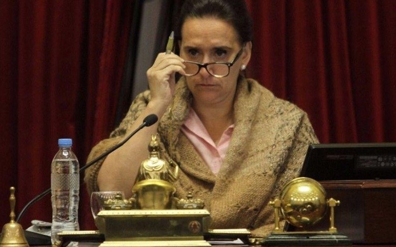 Michetti giró a cuatro comisiones el proyecto de ley para legalizar el aborto