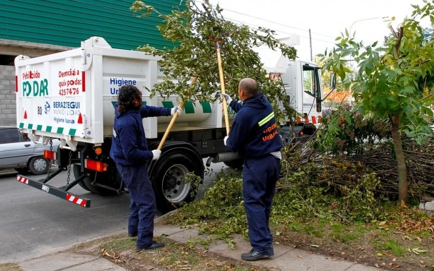Berazategui prohíbe podar en la vía pública