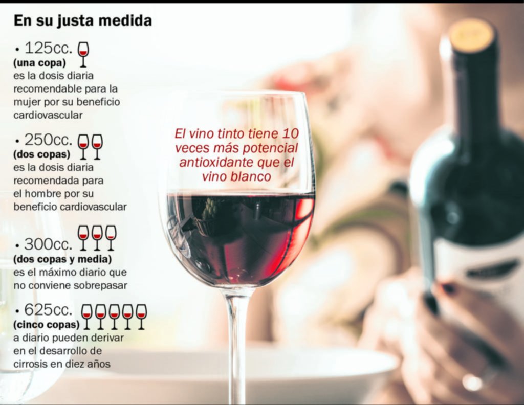 Al final, tomar vino a diario… ¿mejora o compromete la salud?