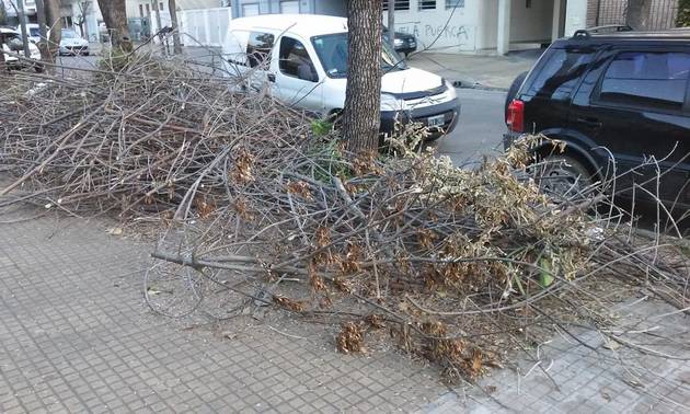 Dos meses y nadie se lleva las ramas tiradas en la vía pública