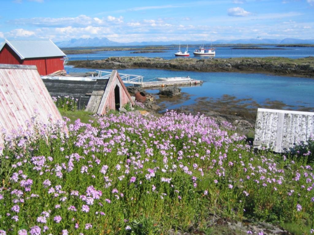 Lanan, la isla noruega de los patos de flojel y una nutrida naturaleza