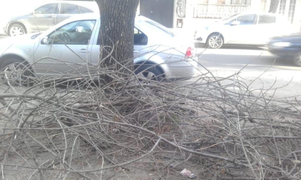 Piden que se lleven restos de una poda en 16 entre 59 y 60