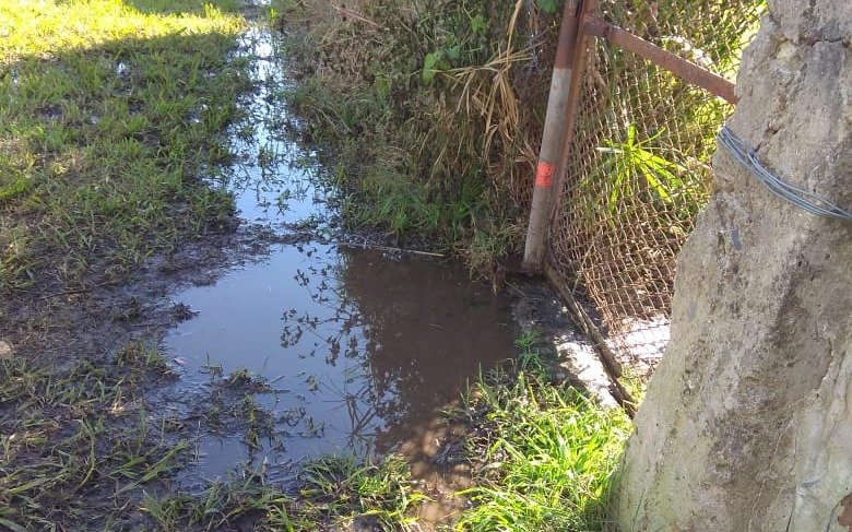 Malestar por desborde cloacal en Altos de San Lorenzo