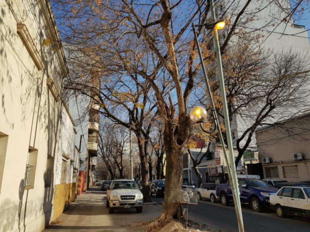 Cansados del derroche por las luces que nadie apaga