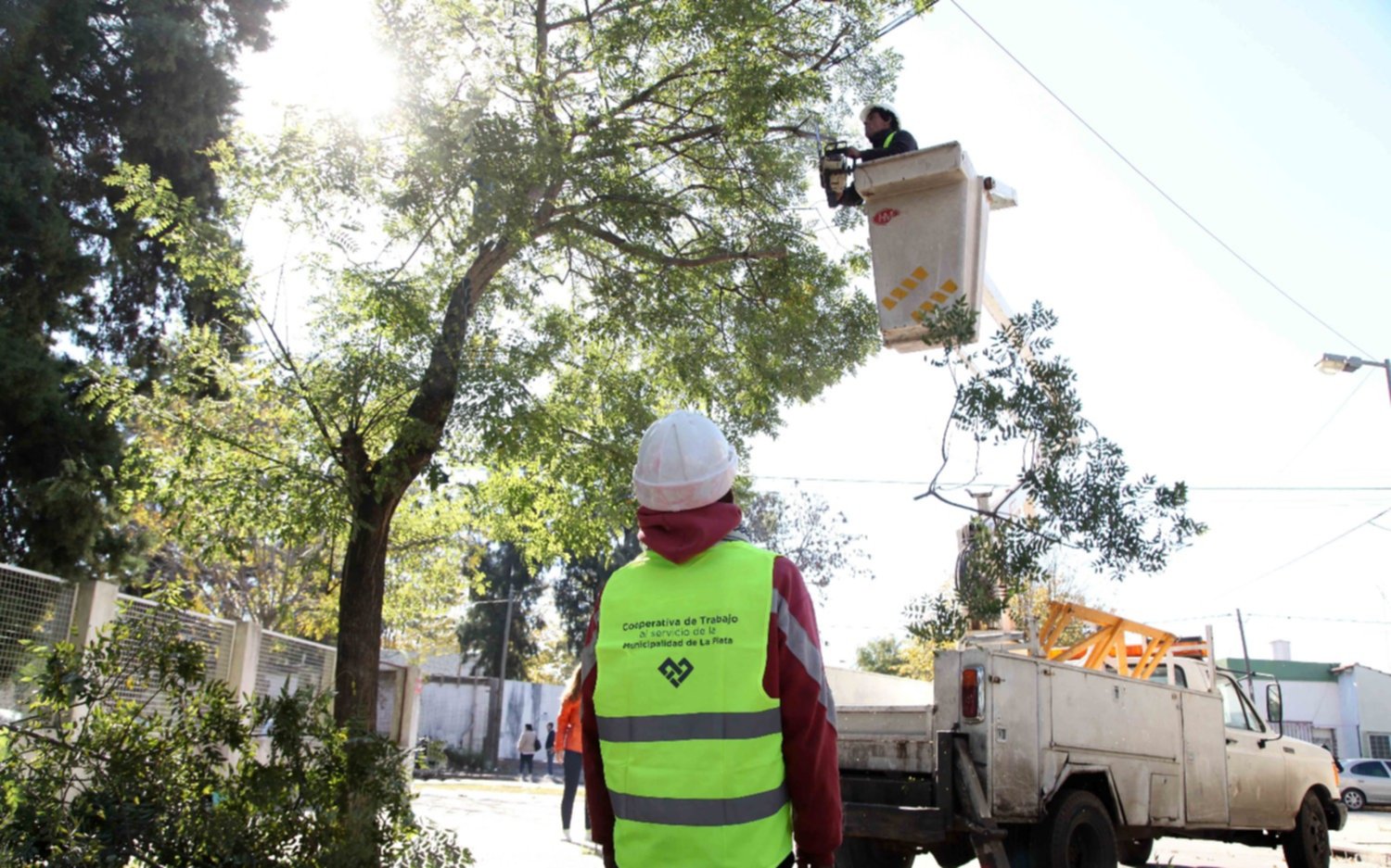 El Municipio alcanzó el 50% del objetivo récord de poda planificado para este año