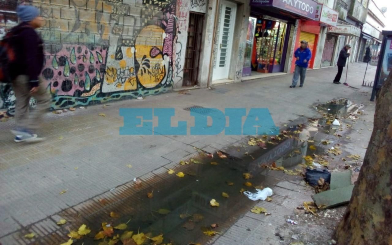 Se formó un "arroyo" por una pérdida de agua en plena vereda de avenida 44
