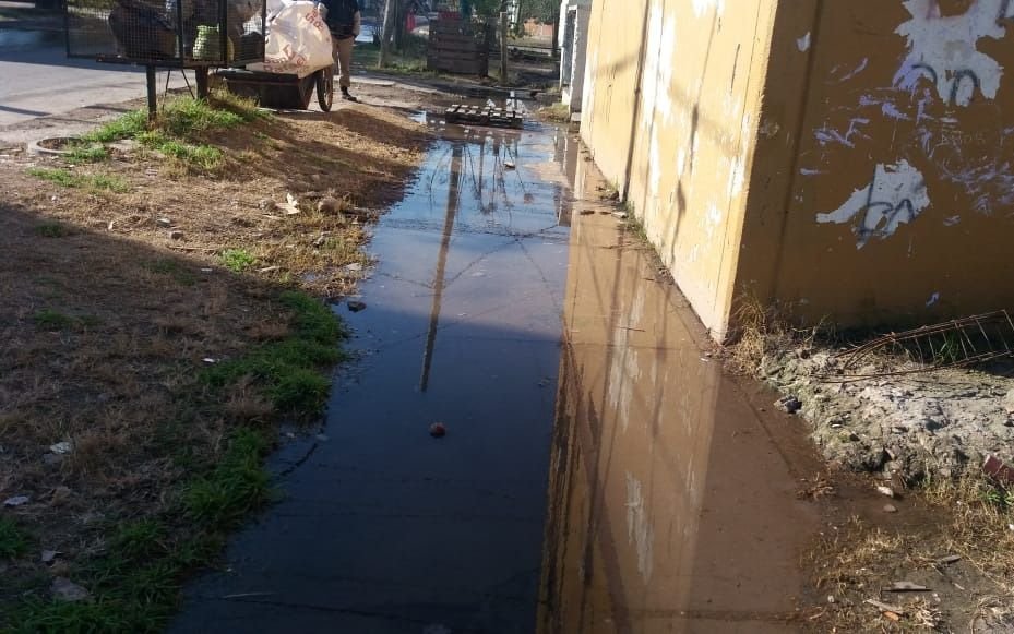 Hartazgo vecinal en Tolosa por continuos desbordes cloacales 