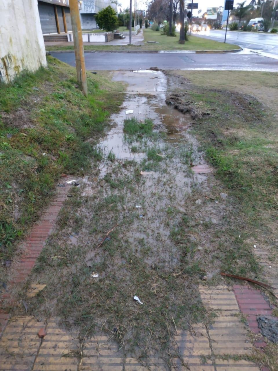 Veredas destrozadas en 13 y 511, cerca de una escuela primaria