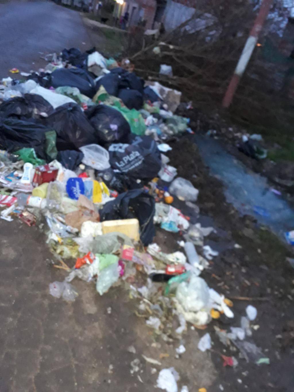 Denuncian que la gente tira basura en la calle