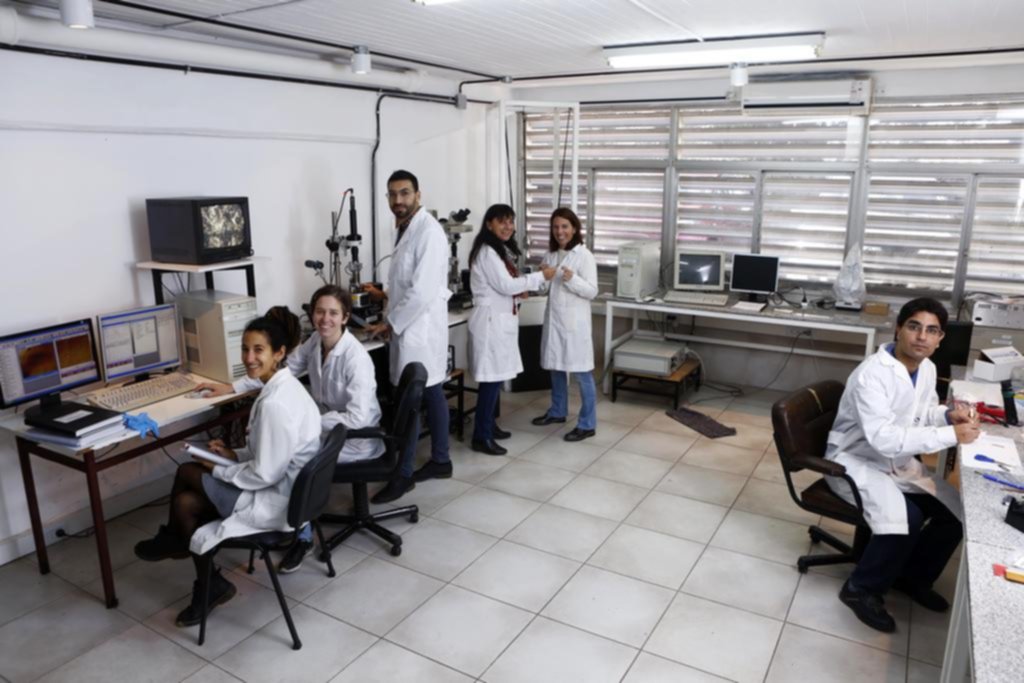 Con nanomateriales de plata buscan evitar rechazos e infecciones con las prótesis