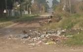 Un cúmulo de basura, con ratas, camino a la escuela