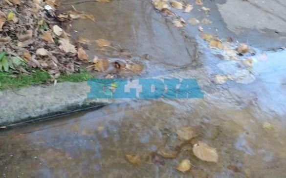 Abundante y persistente pérdida de agua en Berisso