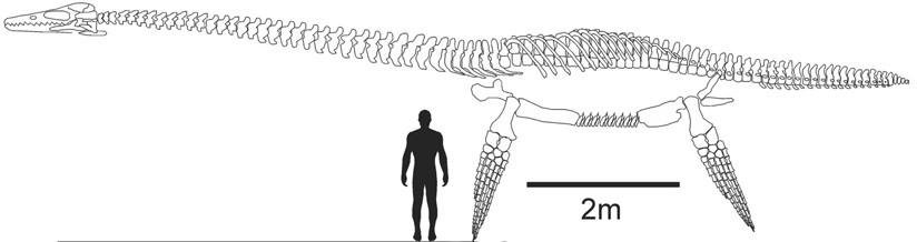 El gigante de la Antártida
