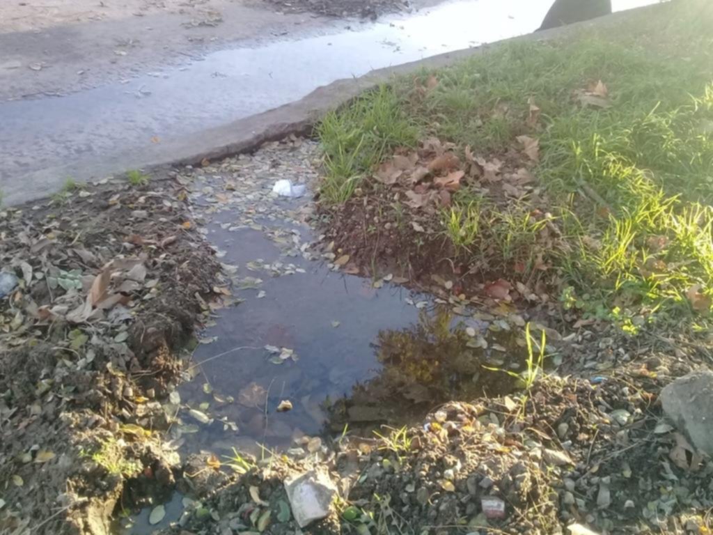 Del despilfarro a la baja presión, en 120 entre 39 y 40