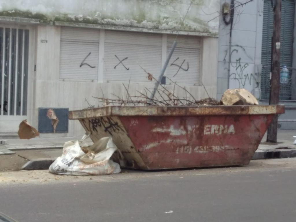 Denuncian la extracción de un árbol “sano y joven”