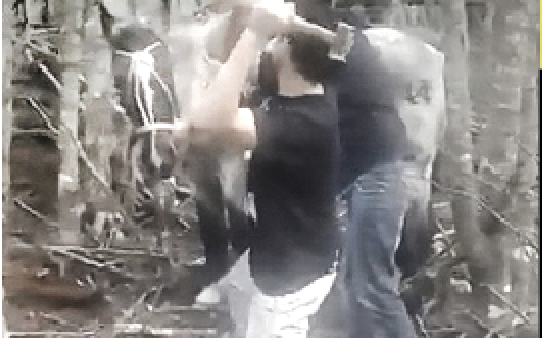 Dos hombres fueron condenados por matar a martillazos a un caballo