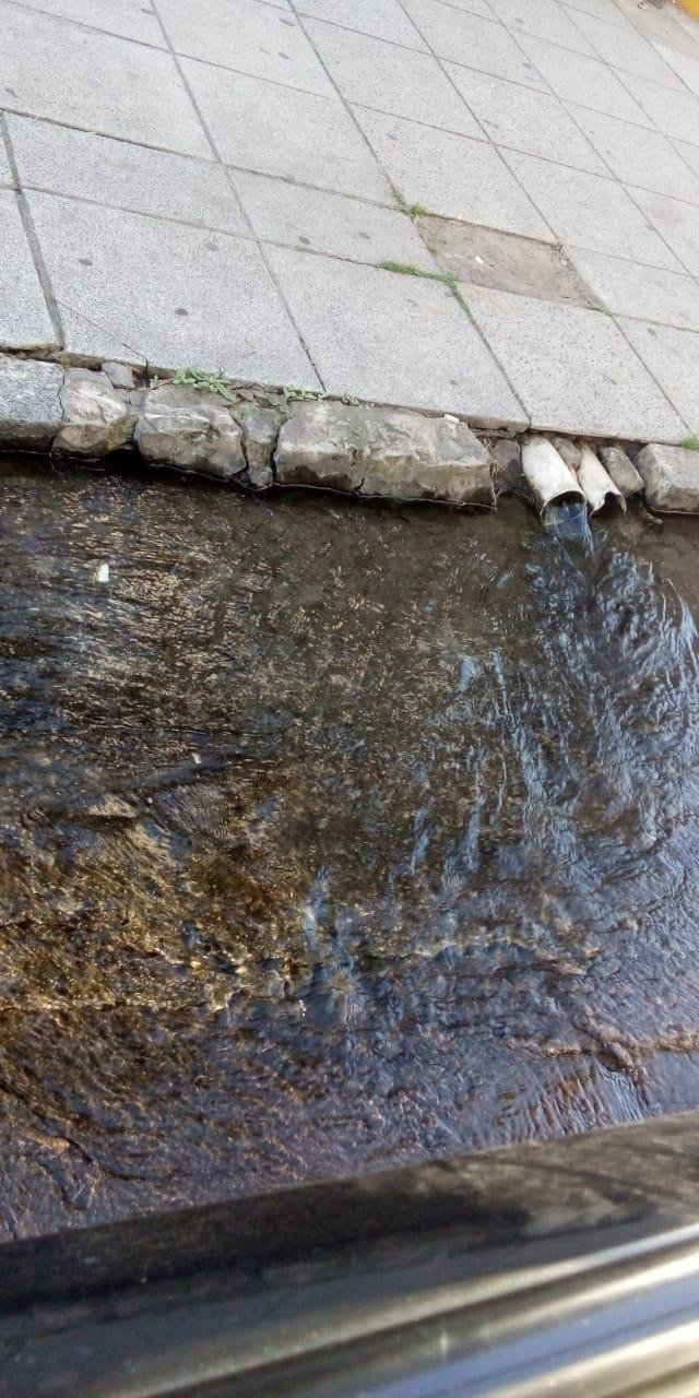 Derroche de agua potable en pleno centro platense