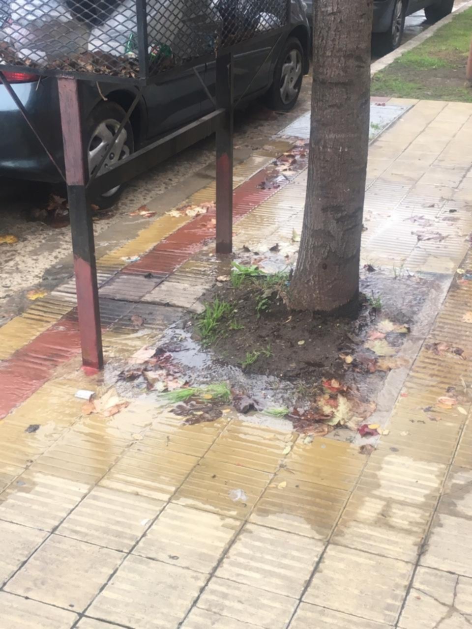 Todo un barrio harto de una pérdida de agua en 38 y 14