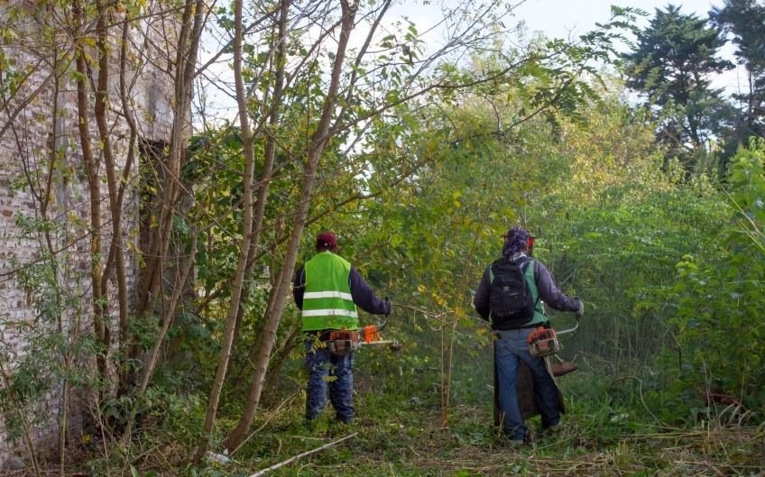 Terrenos abandonamos recuperados por la comuna