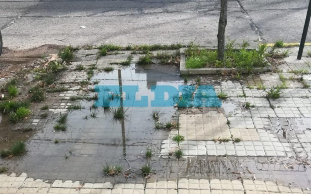 Reclamo por un caño roto que inunda los frentes de las casas en 45 entre 21 y 22