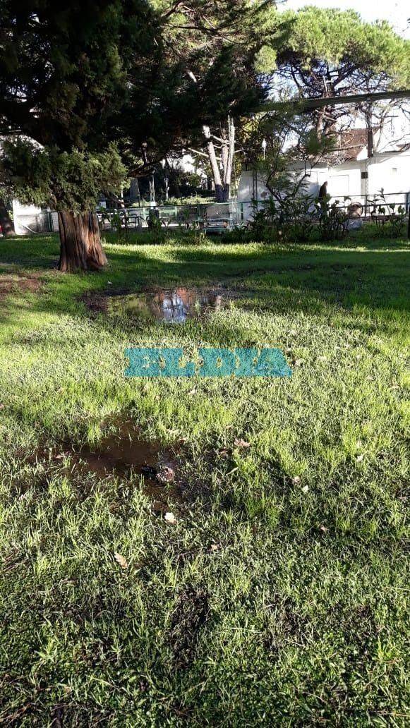 ¡Que los cumplas ¿feliz?! Una pérdida en Parque San Martín ya tiene un año