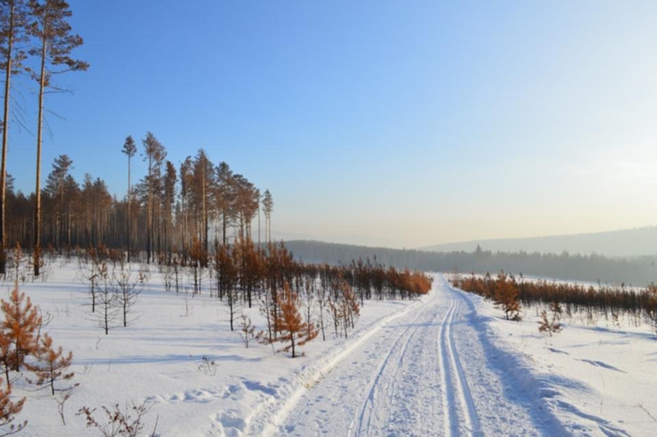 Las frías tierras de Siberia podrían convertirse en un destino habitable en 2080