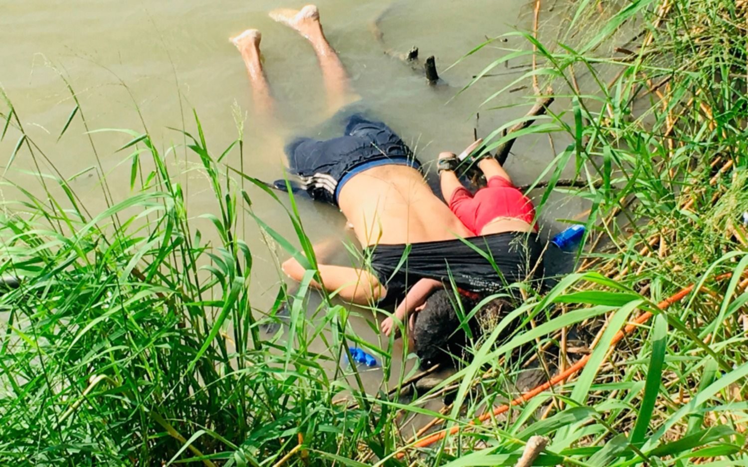 Tras la foto que hizo llorar al mundo, una ONG se rebela y vuelve a hacer rescates