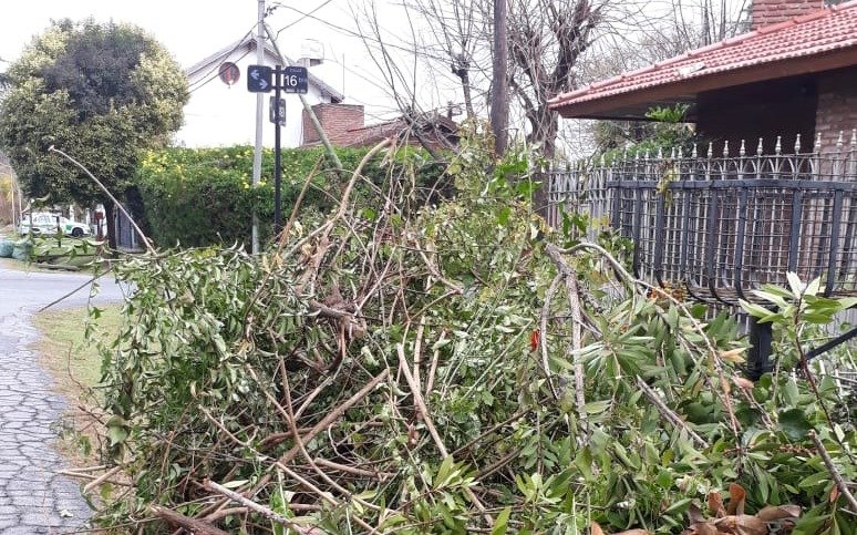 Montículos de ramas y basura en una zona de Gonnet