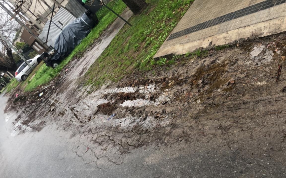 Vecinos de la zona del Único dicen “pareciera que no existimos”