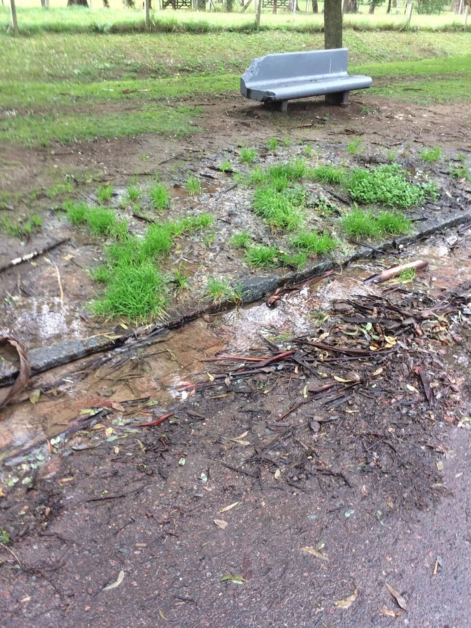 Aseguran que una filtración derivó en una "catarata" en El Bosque