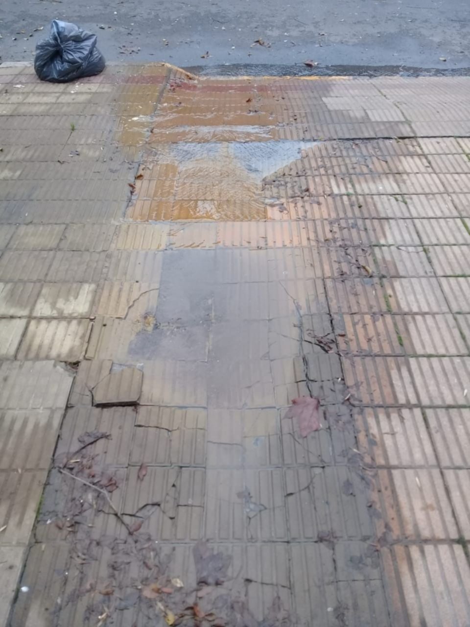 Preocupación por una pérdida que "está  destrozando la vereda" en 60, 14 y 15
