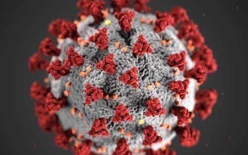 Asintomáticos, ¿transmiten el coronavirus?: polémica por la frase de una experta de la OMS