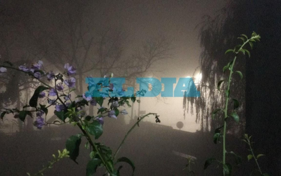Intensa niebla en la Región: "No se ve más de 20 metros"