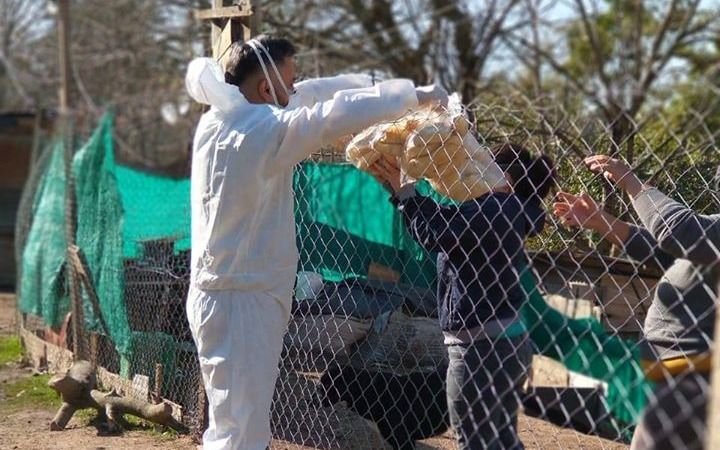 Coronavirus en la Región: dos casos nuevos en Berisso y uno en Ensenada