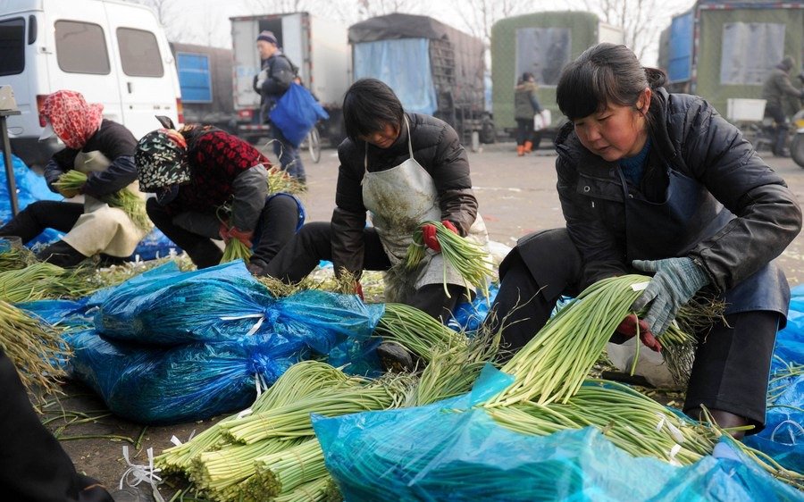 Máxima alarma en China por brote de coronavirus en el mercado más grande de Beijing