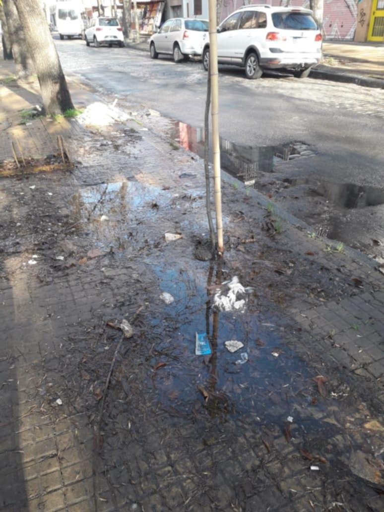 “Es un pantano”, aseguran sobre la pérdida de 62, 5 y 6