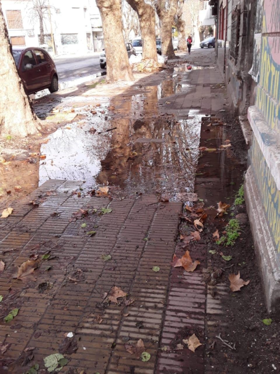 Vereda inundada por una filtración en Diag. 78 y 61