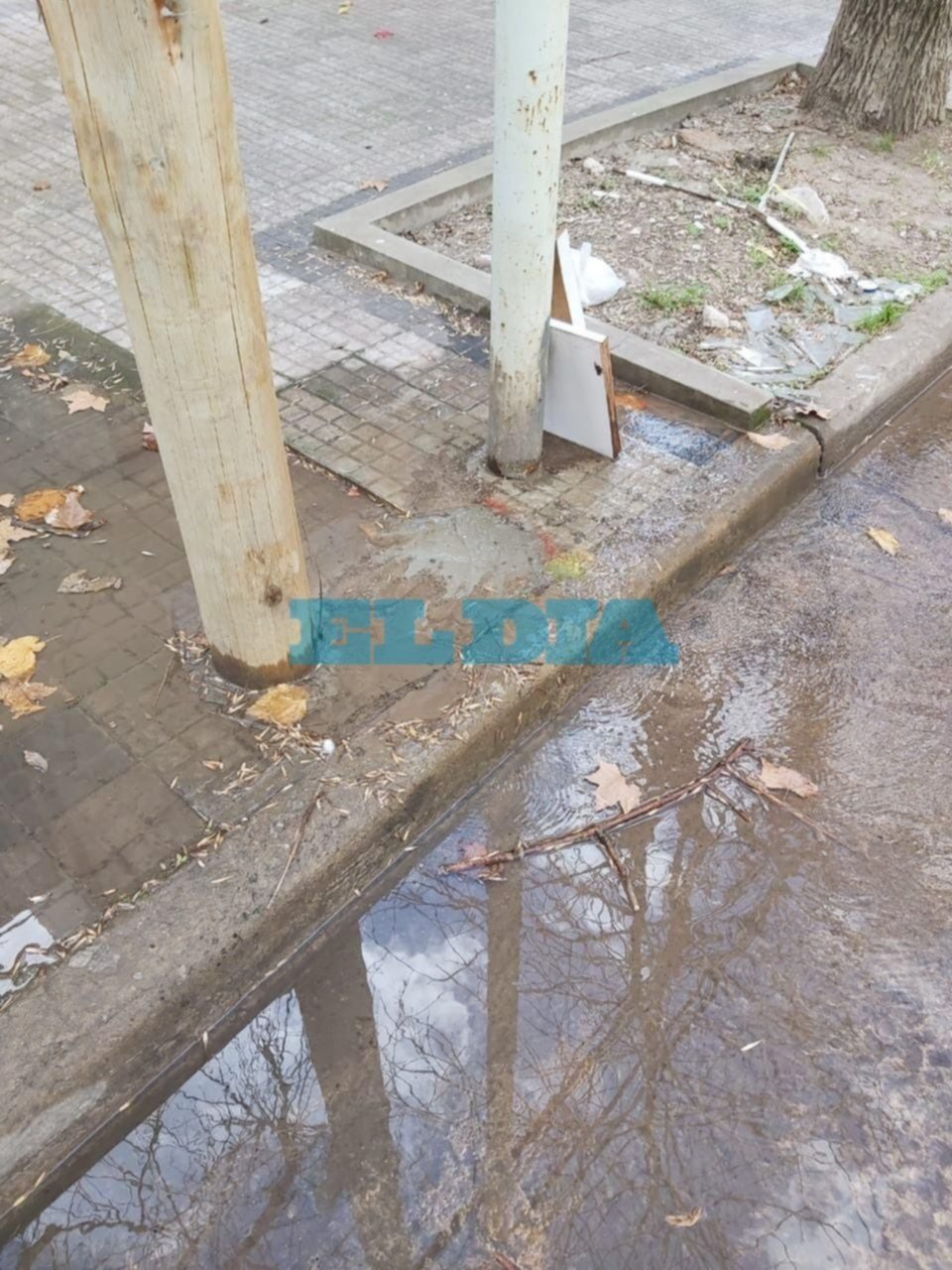 Pérdidas de agua ponen en jaque distintos sectores de la Ciudad