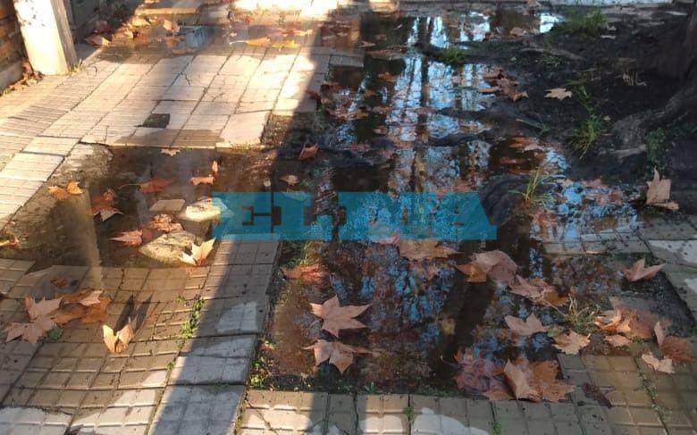 Denuncian perdida de agua en 115 y 46